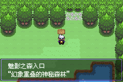 《口袋妖怪漆黑的魅影》5.0图文攻略