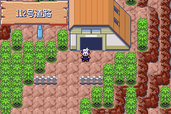 《口袋妖怪漆黑的魅影》5.0图文攻略