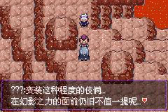 《口袋妖怪漆黑的魅影》5.0图文攻略