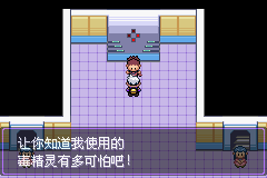 《口袋妖怪漆黑的魅影》5.0图文攻略