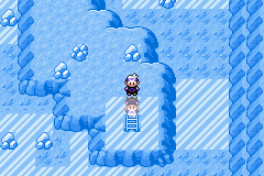 《口袋妖怪漆黑的魅影》5.0图文攻略