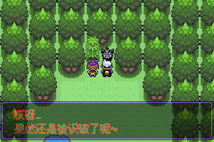 《口袋妖怪漆黑的魅影》5.0图文攻略