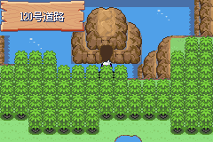 《口袋妖怪漆黑的魅影》5.0图文攻略