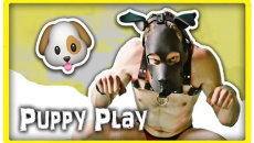 字母圈的k9是什么意思