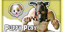 字母圈的k9是什么意思