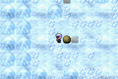 《口袋妖怪漆黑的魅影》5.0图文攻略