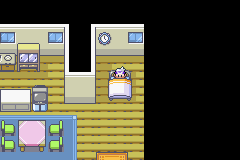 《口袋妖怪漆黑的魅影》5.0图文攻略