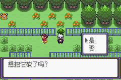 《口袋妖怪漆黑的魅影》5.0图文攻略