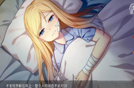 奈的教育日记v1.0冷狐版