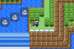 《口袋妖怪漆黑的魅影》5.0图文攻略