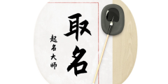 取名字软件