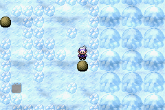 《口袋妖怪漆黑的魅影》5.0图文攻略