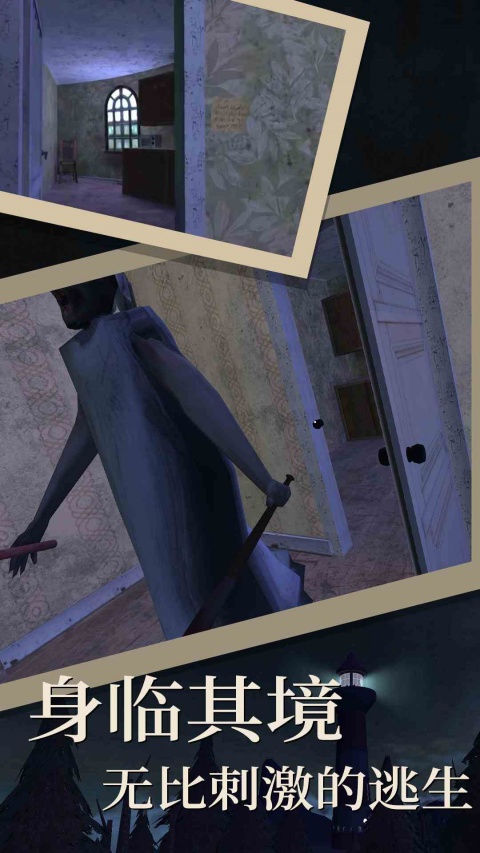 恐怖奶奶4手机版