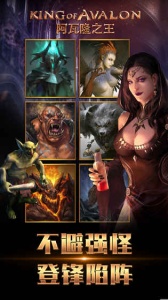 阿瓦隆之王龙之战役