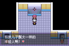 《口袋妖怪漆黑的魅影》5.0图文攻略