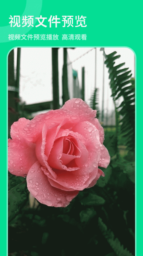 解压专家app