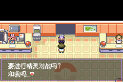 《口袋妖怪漆黑的魅影》5.0图文攻略