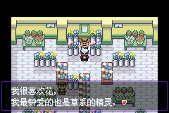 《口袋妖怪漆黑的魅影》5.0图文攻略