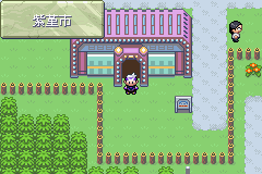 《口袋妖怪漆黑的魅影》5.0图文攻略