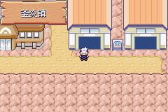 《口袋妖怪漆黑的魅影》5.0图文攻略