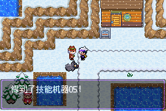 《口袋妖怪漆黑的魅影》5.0图文攻略