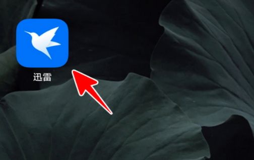 《迅雷云盘》如何下载到本地