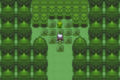 《口袋妖怪漆黑的魅影》5.0图文攻略