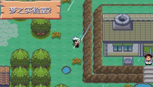 口袋妖怪罪恶的世界