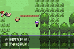 《口袋妖怪漆黑的魅影》5.0图文攻略