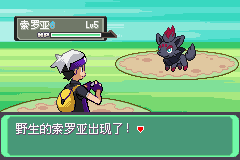 《口袋妖怪漆黑的魅影》5.0图文攻略