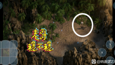 《纳迪亚之宝》海盗勋章在哪找