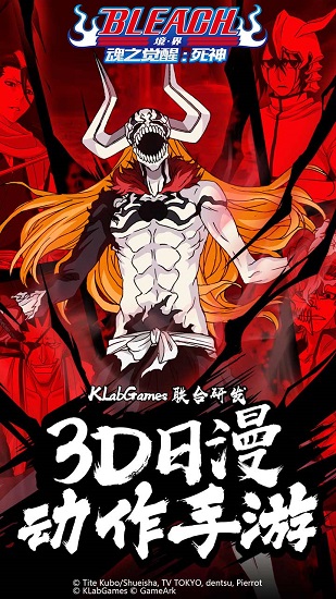 境界魂之觉醒流魂街版