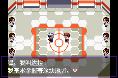 《口袋妖怪漆黑的魅影》5.0图文攻略