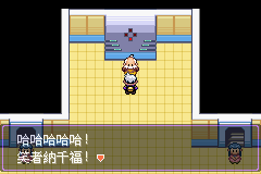 《口袋妖怪漆黑的魅影》5.0图文攻略