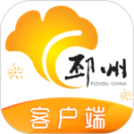 邳州银杏甲天下