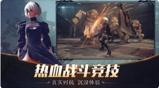 命运