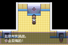 《口袋妖怪漆黑的魅影》5.0图文攻略