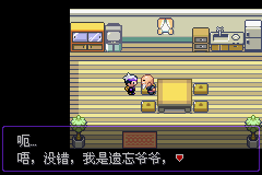 《口袋妖怪漆黑的魅影》5.0图文攻略