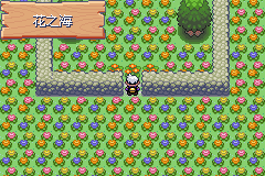 《口袋妖怪漆黑的魅影》5.0图文攻略