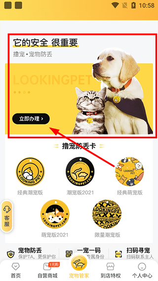 撸宠