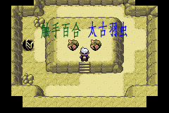 《口袋妖怪漆黑的魅影》5.0图文攻略