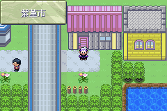 《口袋妖怪漆黑的魅影》5.0图文攻略