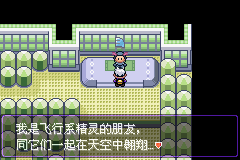 《口袋妖怪漆黑的魅影》5.0图文攻略