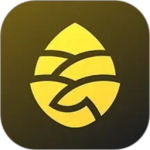 松果出行app
