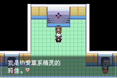 《口袋妖怪漆黑的魅影》5.0图文攻略