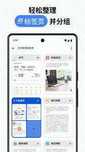 谷歌浏览器金丝雀版