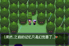 《口袋妖怪漆黑的魅影》5.0图文攻略