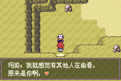 《口袋妖怪漆黑的魅影》5.0图文攻略