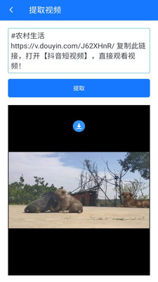无水印剪辑