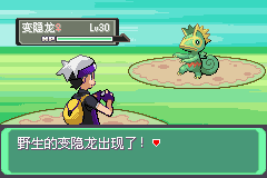 《口袋妖怪漆黑的魅影》5.0图文攻略